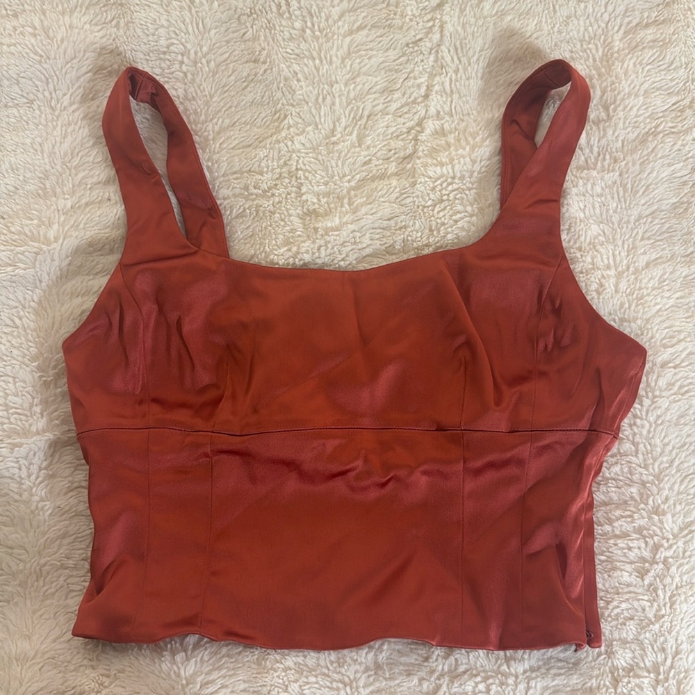Aritzia shine bustier